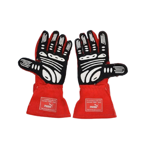 Helio Castroneves 2017 Race Worn Puma Glove