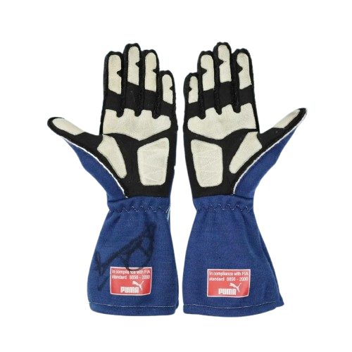 2007 Nico Rosberg Williams Racing F1 Glove