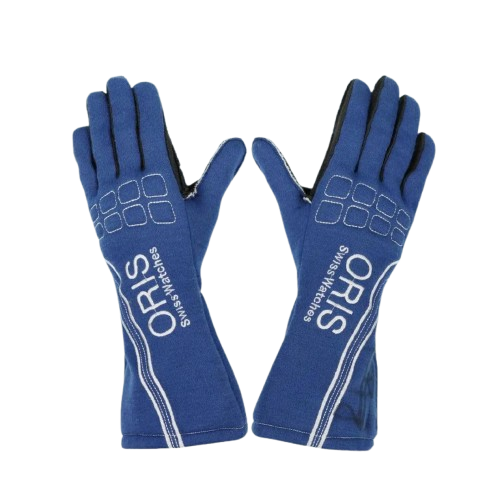 2007 Nico Rosberg Williams Racing F1 Glove
