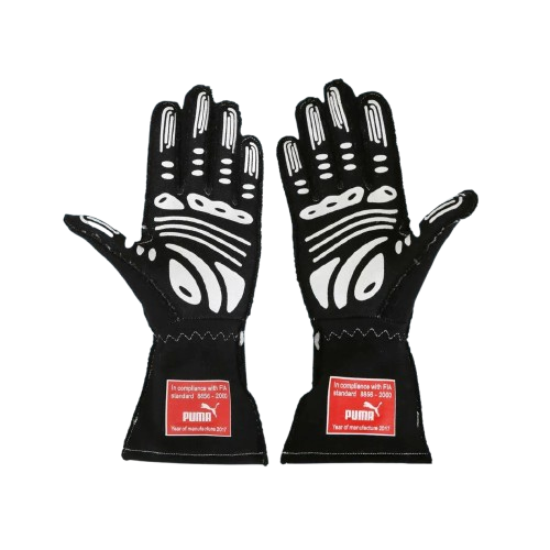 2017_18 Hélio Castroneves Race IndyCar_IMSA Glove