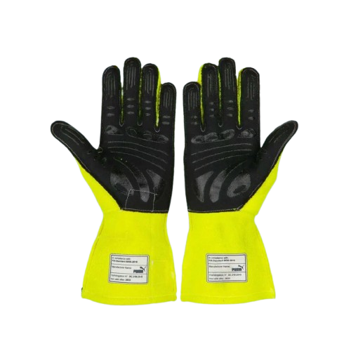 2023 Lewis Hamilton F1 Race Mercedes AMG Gloves