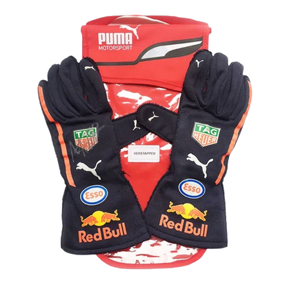 Max Verstappen 2018 F1 Gloves